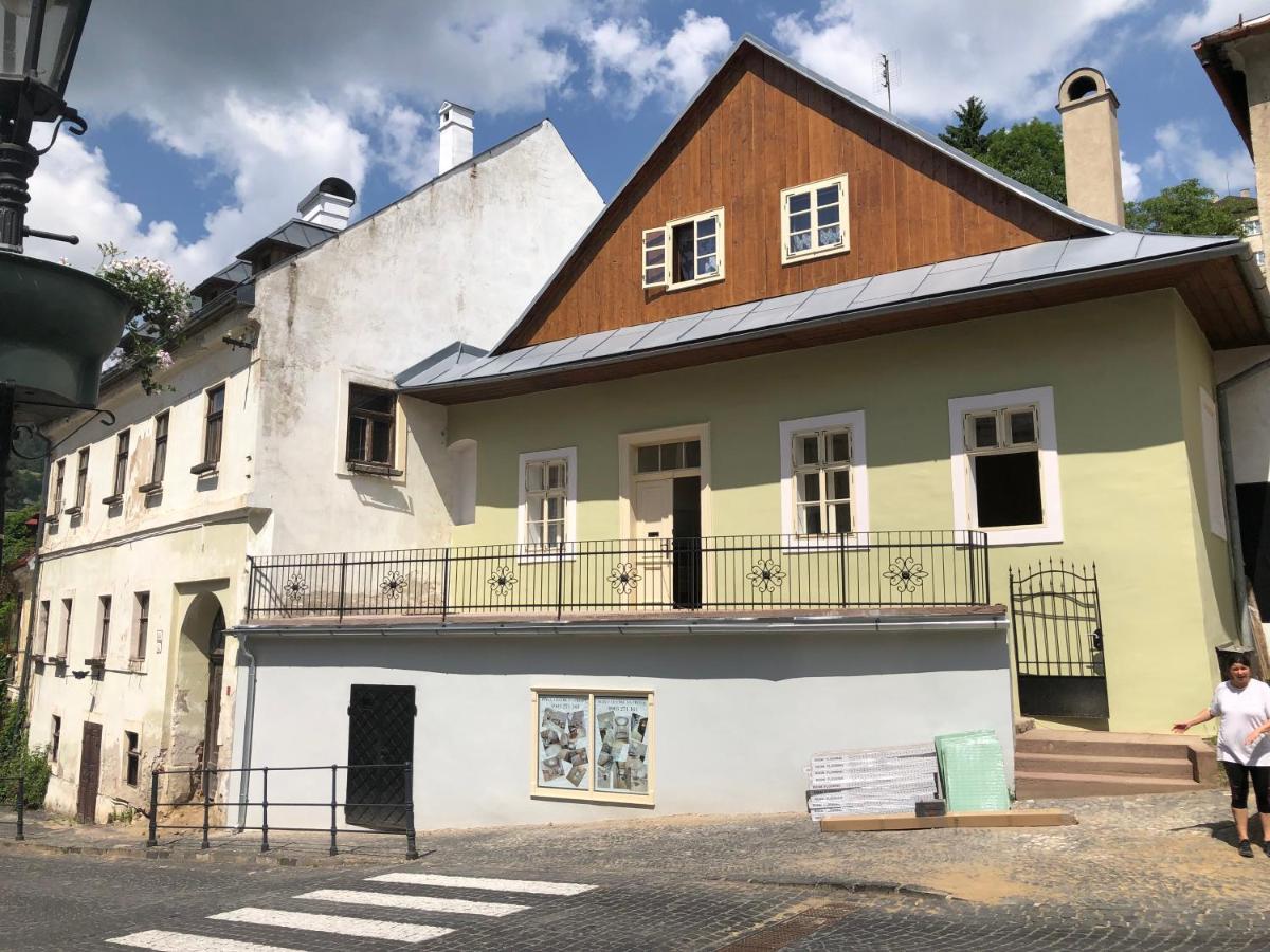 Apartman Vila Rosenberg Banska Stiavnica Exterior photo